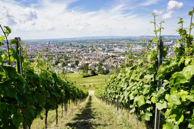 Blick vom Wartberg auf Heilbronn
