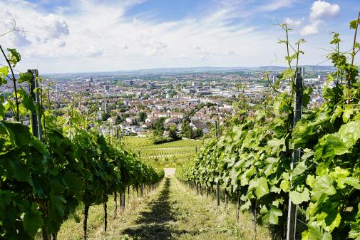 Blick vom Wartberg auf Heilbronn Blick vom Wartberg auf Heilbronn